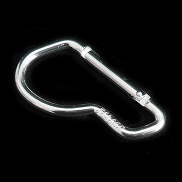 PALACE パレス carabiner カラビナ 買取 京都 四条 河原町 鴨川 寺町